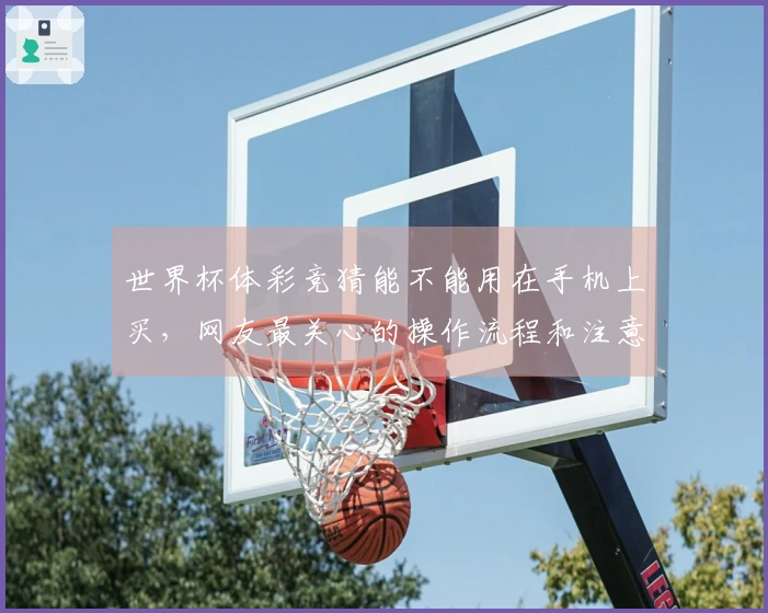 世界杯体彩竞猜能不能用在手机上买，网友最关心的操作流程和注意事项有哪些